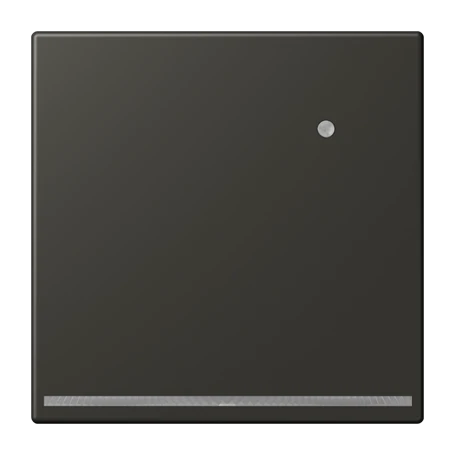 LED floor pilot light, with integrated brightness sensor, ombre naturelle 59 (4320R)