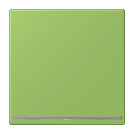 LED floor pilot light, without brightness sensor, vert 31 (32051)