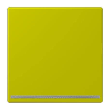 LED floor pilot light, without brightness sensor, vert olive vif (4320F)