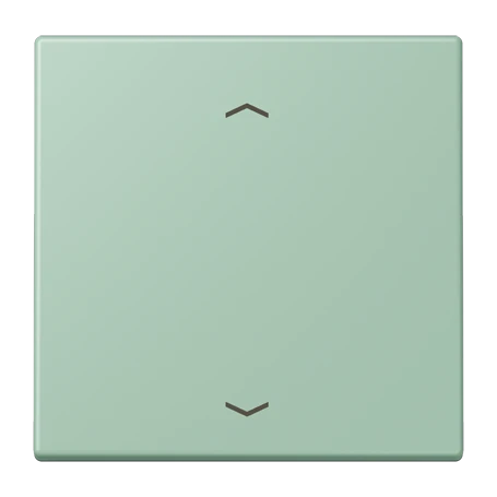 LB Management push-button, with arrow symbols, vert anglais clair (32041)