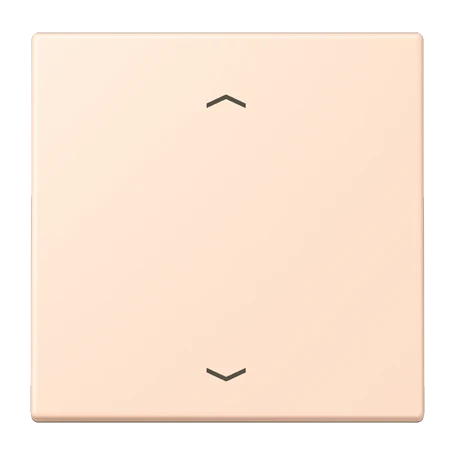 LB Management push-button, with arrow symbols, rose pâle (32091)
