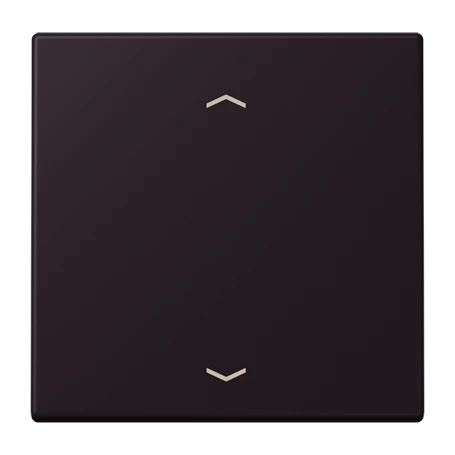 LB Management push-button, with arrow symbols, noir d'ivoire (4320E)