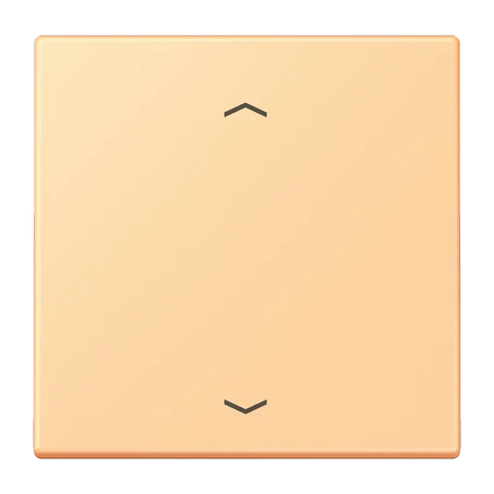 LB Management push-button, with arrow symbols, terre sienne claire 59 (4320P)