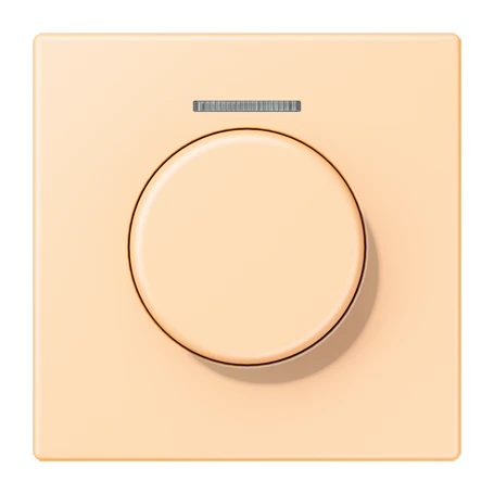 Cobertura com visor de fibra ótica 1 grupo, para sensor giratório KNX, com visor, ocre (32060)