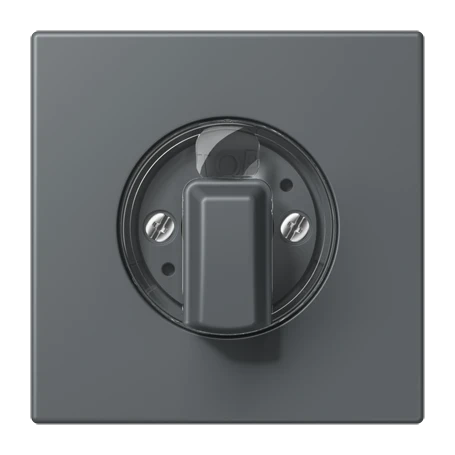 Abdeckung 1fach, für Drehschalter, gris foncé 31 (32010)