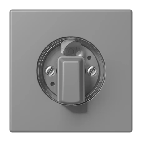 Abdeckung 1fach, für Drehschalter, gris 31 (32011)