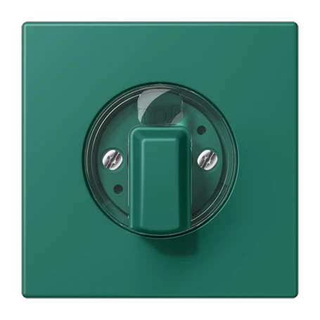 Abdeckung 1fach, für Drehschalter, vert anglais (32040)