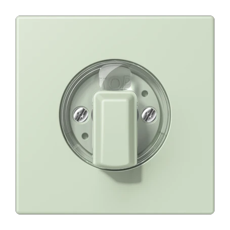 Abdeckung 1fach, für Drehschalter, vert anglais pâle (32042)