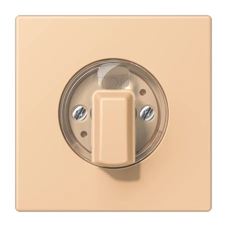 Abdeckung 1fach, für Drehschalter, terre sienne claire 31 (32122)