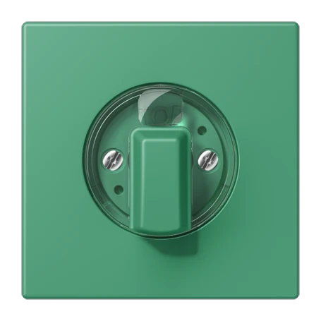 Abdeckung 1fach, für Drehschalter, vert 59 (4320G)