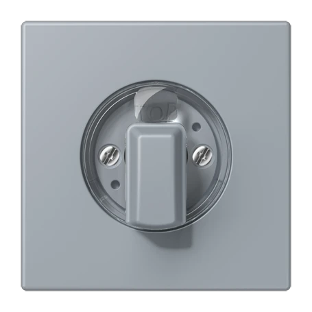 Abdeckung 1fach, für Drehschalter, gris clair 59 (4320O)