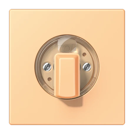 Abdeckung 1fach, für Drehschalter, terre sienne claire 59 (4320P)