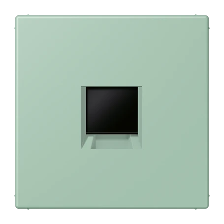 Abdeckung (gerastet) für Modular-Jack-Steckbuchsen, 1fach, UMA-CAT6A, RADIALL, Panduit, Assmann, vert anglais clair (32041)