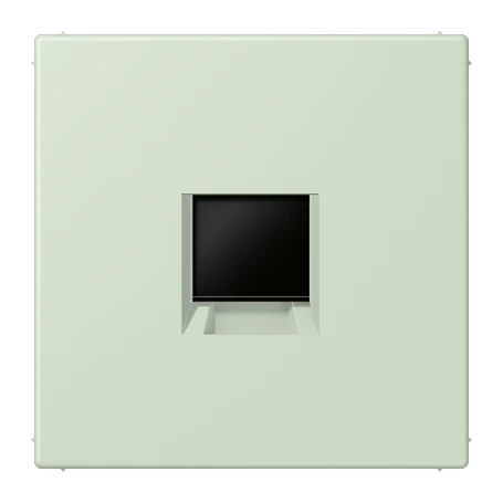 Abdeckung (gerastet) für Modular-Jack-Steckbuchsen, 1fach, UMA-CAT6A, RADIALL, Panduit, Assmann, vert anglais pâle (32042)