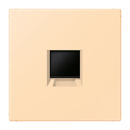 Abdeckung (gerastet) für Modular-Jack-Steckbuchsen, 1fach, UMA-CAT6A, RADIALL, Panduit, Assmann, ocre (32060)