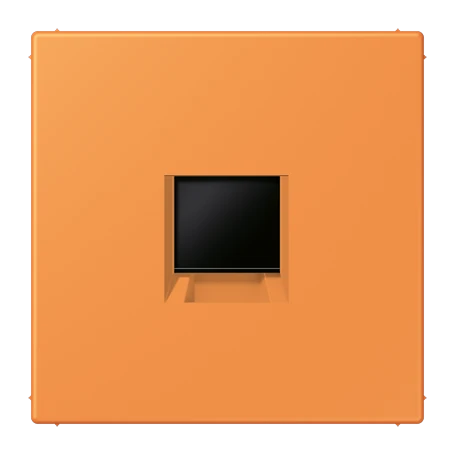 Abdeckung (gerastet) für Modular-Jack-Steckbuchsen, 1fach, UMA-CAT6A, RADIALL, Panduit, Assmann, orange clair (32081)