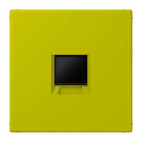 Abdeckung (gerastet) für Modular-Jack-Steckbuchsen, 1fach, UMA-CAT6A, RADIALL, Panduit, Assmann, vert olive vif (4320F)