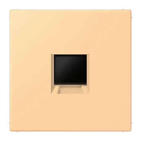 Abdeckung (gerastet) für Modular-Jack-Steckbuchsen, 1fach, UMA-CAT6A, RADIALL, Panduit, Assmann, terre sienne claire 59 (4320P)