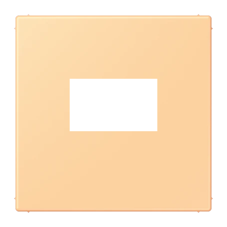 Centre plate for USB charger, terre sienne claire 59 (4320P)