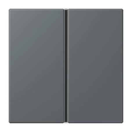 Tasterset 1-voudig, F40, gris foncé 31 (32010)