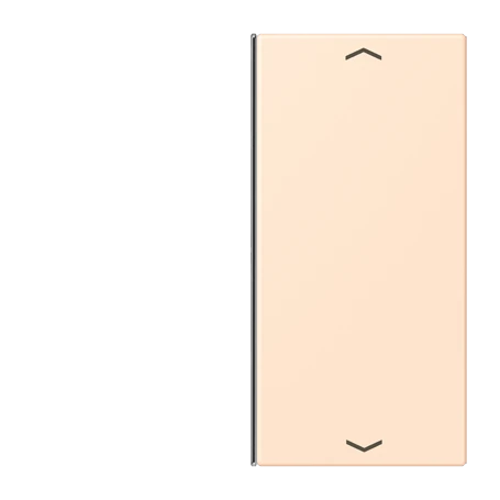 Cover 2-gang, F40, terre sienne pâle (32123)