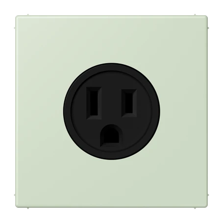 Steckdose, US-Norm NEMA, Schraubklemmen, Thermoplast lackiert, vert anglâis pale