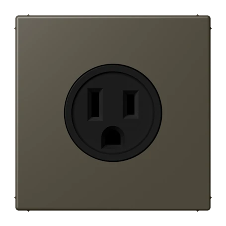 Steckdose, US-Norm NEMA, Schraubklemmen, Thermoplast lackiert, ombre naturelle 31