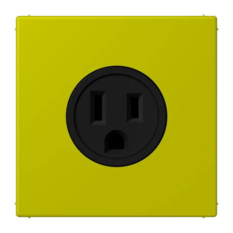 Steckdose, US-Norm NEMA, Schraubklemmen, Thermoplast lackiert, vert olive vif