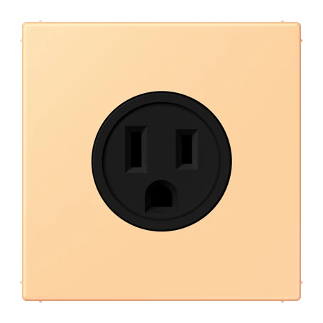 Steckdose, US-Norm NEMA, Schraubklemmen, Thermoplast lackiert, terre sienne claire 59