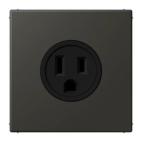 Steckdose, US-Norm NEMA, Schraubklemmen, Thermoplast lackiert, ombre naturelle 59