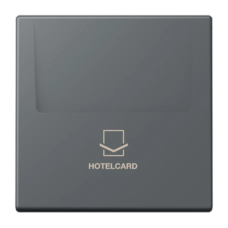 Key card holder, gris foncé 31 (32010)