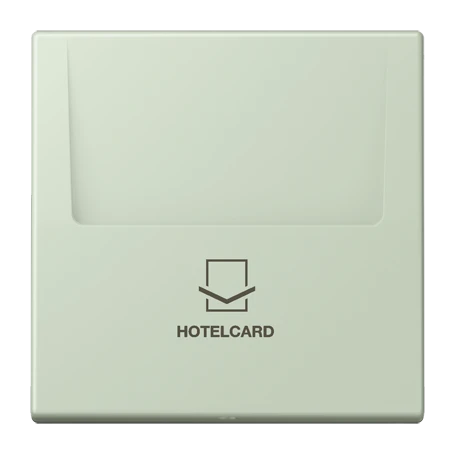 Key card holder, vert anglais pâle (32042)