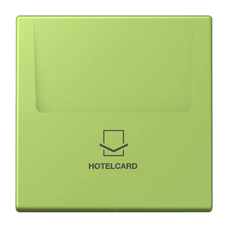 Key card holder, vert clair (32052)