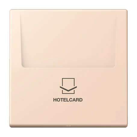 Key card holder, rose pâle (32091)