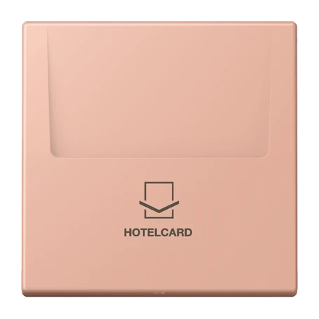 Key card holder, rose clair (32102)