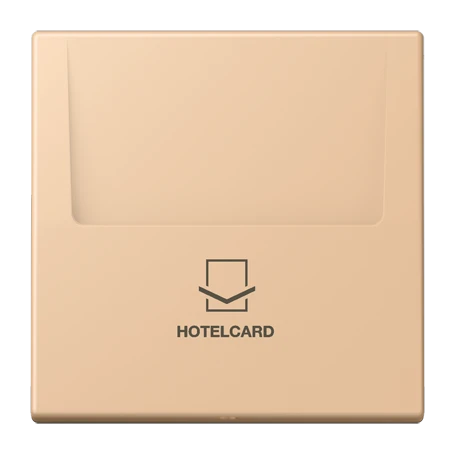 Key card holder, terre sienne claire 31 (32122)