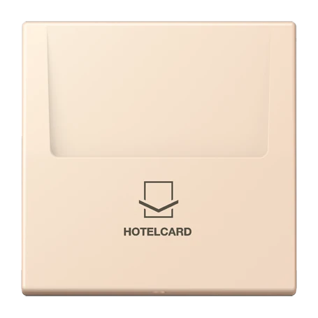 Key card holder, terre sienne pâle (32123)