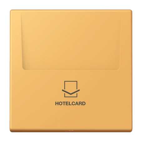 Key card holder, ocre jaune clair (4320L)