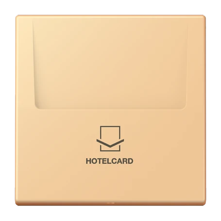 Key card holder, terre sienne claire 59 (4320P)