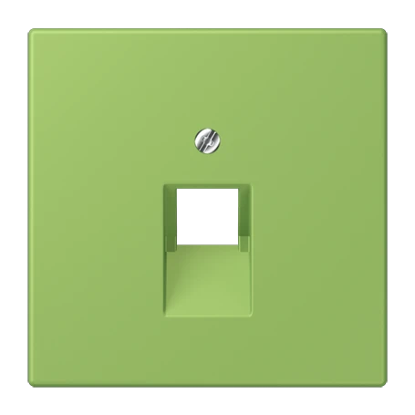 Abdeckung für IAE/UAE-Anschlussdosen, 1 x 8-polig, vert 31 (32051)