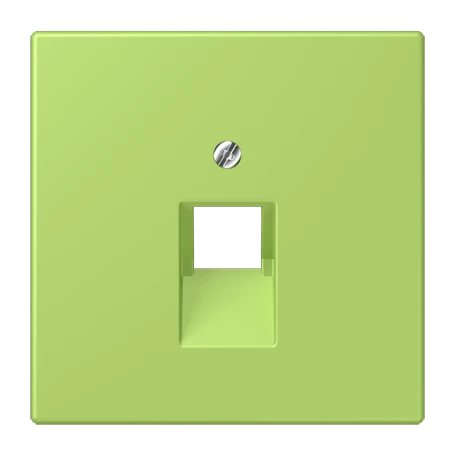 Abdeckung für IAE/UAE-Anschlussdosen, 1 x 8-polig, vert clair (32052)