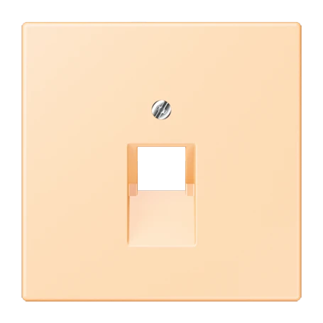 Abdeckung für IAE/UAE-Anschlussdosen, 1 x 8-polig, ocre (32060)