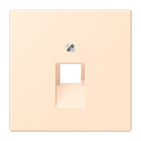 Abdeckung für IAE/UAE-Anschlussdosen, 1 x 8-polig, terre sienne pâle (32123)