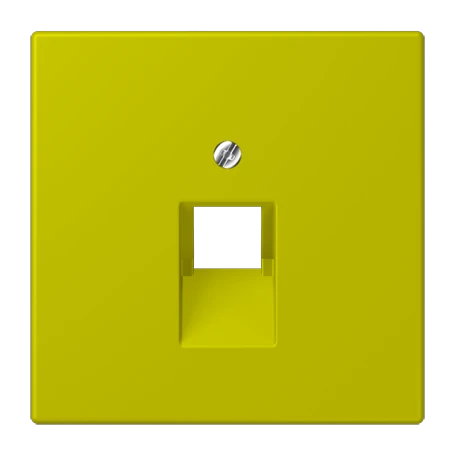 Abdeckung für IAE/UAE-Anschlussdosen, 1 x 8-polig, vert olive vif (4320F)