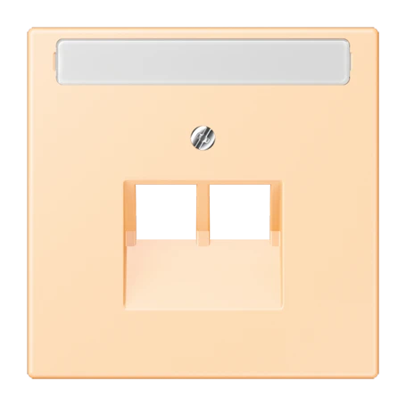 Centre plate for IAE/UAE sockets, 2 x 8-pole, ocre (32060)