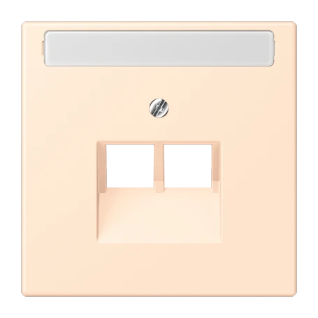 Centre plate for IAE/UAE sockets, 2 x 8-pole, terre sienne pâle (32123)