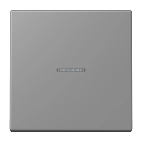 Rocker, with lens, gris 31 (32011)