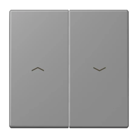 Rocker, with arrow symbols, gris 31 (32011)