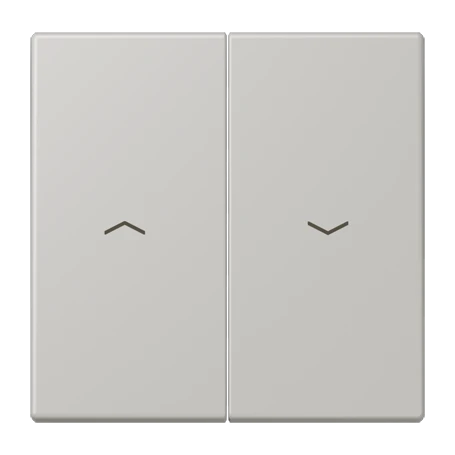 Rocker, with arrow symbols, gris clair 31 (32013)