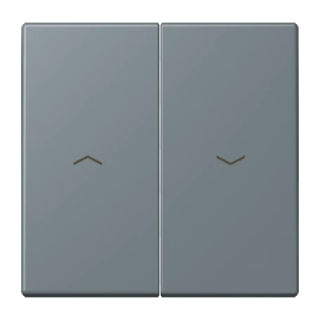 Rocker, with arrow symbols, gris 59 (4320H)